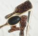 Emi Jay Flat Brush in Tortoise Овальна щітка для волосся EMJ54 фото 3