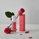 Rated Green Detangling Perfume Hair Mist (Lychee-Rose-Cedar) - Парфумований міст для волосся RTDG00121 фото 2