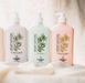 AUSTRALIAN GOLD Hemp Nation White Peach & Hibiscus Body Lotion Зволожувальний лосьйон для продовження засмаги Білий персик і Гібіскус AG19 фото 2