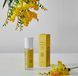 Rated Green Detangling Perfume Hair Mist (Lemon-Freesia-Musk) - Парфумований міст для волосся RTDG00123 фото 3