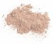 COLORESCIENCE Sunforgettable Total Protection Tan Сонцезахисна пудра з пензлем SPF 50 Тан ClRS22 фото 2