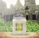 LA SULTANE DE SABA Shea Butter Ginger and Green Tea - Олія Ши Зелений чай та Імбир LSDA54 фото 3