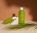 Rated Green Real Mary Cold Brewed Rosemary Exfoliating Scalp Shampoo - Глибокоочищуючий відлущуючий шампунь з соком розмарину RTDG001 фото 4