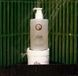 ALIS Soothing Body & Hand Wash Gel Заспокійливий гель для миття тіла та рук ALIS5 фото 2